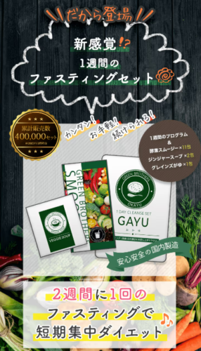 スムージーで健康ファスティング!ワンディクレンズ酵素効果と口コミ