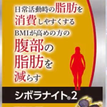 手軽に脂肪を消費！シボラナイト２のブラックジンジャーパワーとは？
