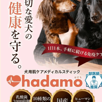愛犬の皮フ対策！1位獲得のhadamo(ハダモ)の成分とその効果！！
