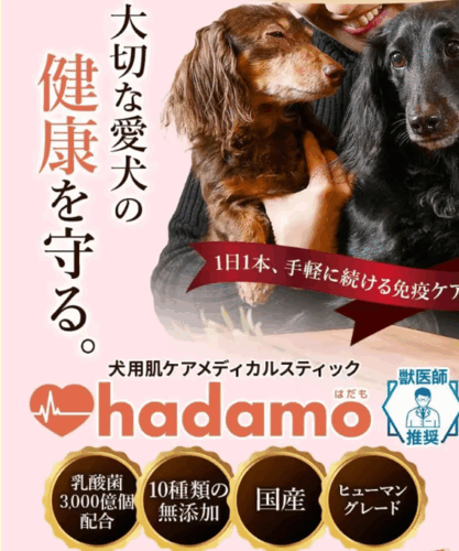 愛犬の皮フ対策!1位獲得のhadamo(ハダモ)の成分とその効果!!